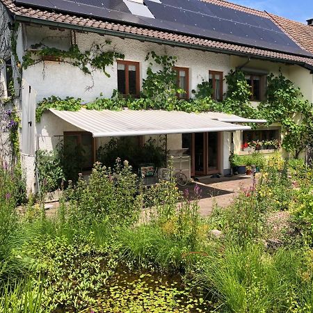 Ferienhaus Mit Naturgarten Dachsen Buitenkant foto