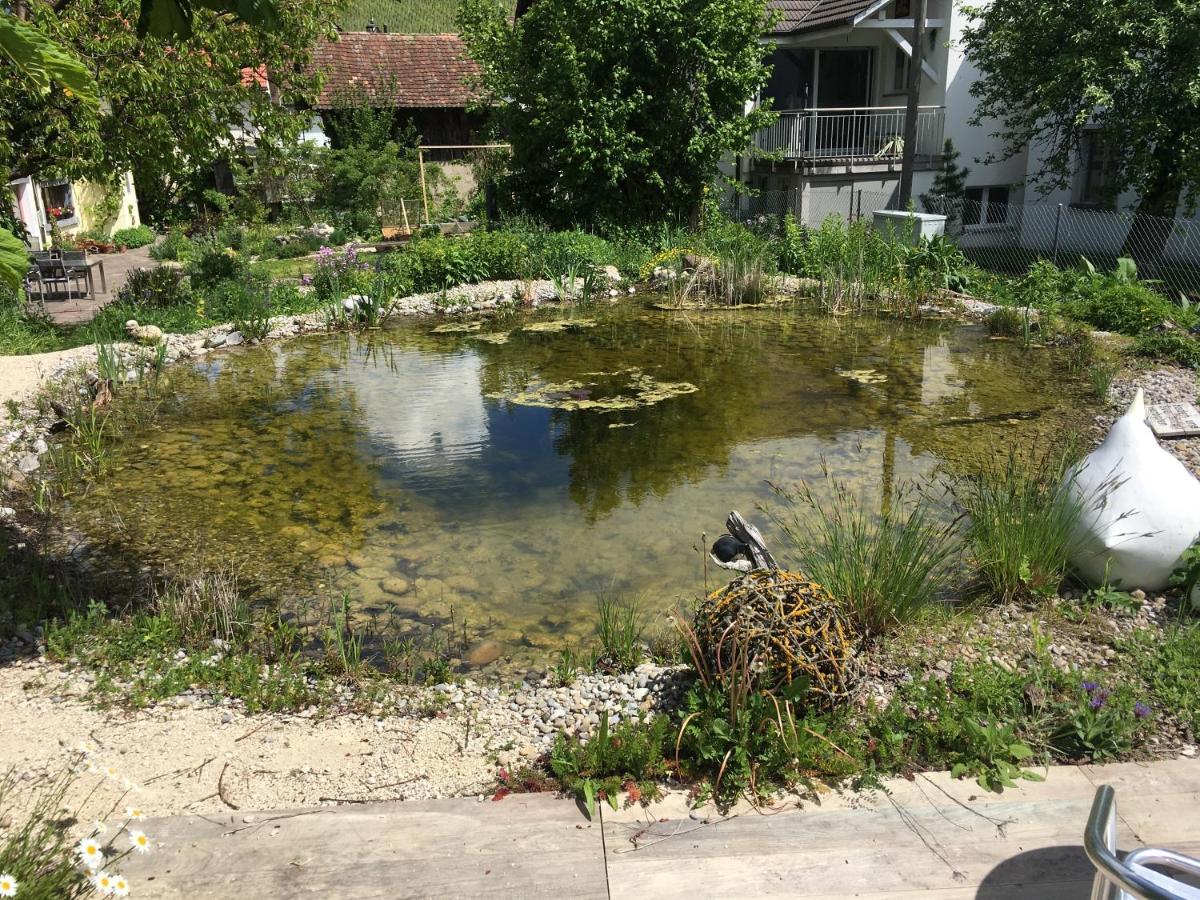 Ferienhaus Mit Naturgarten Dachsen Buitenkant foto