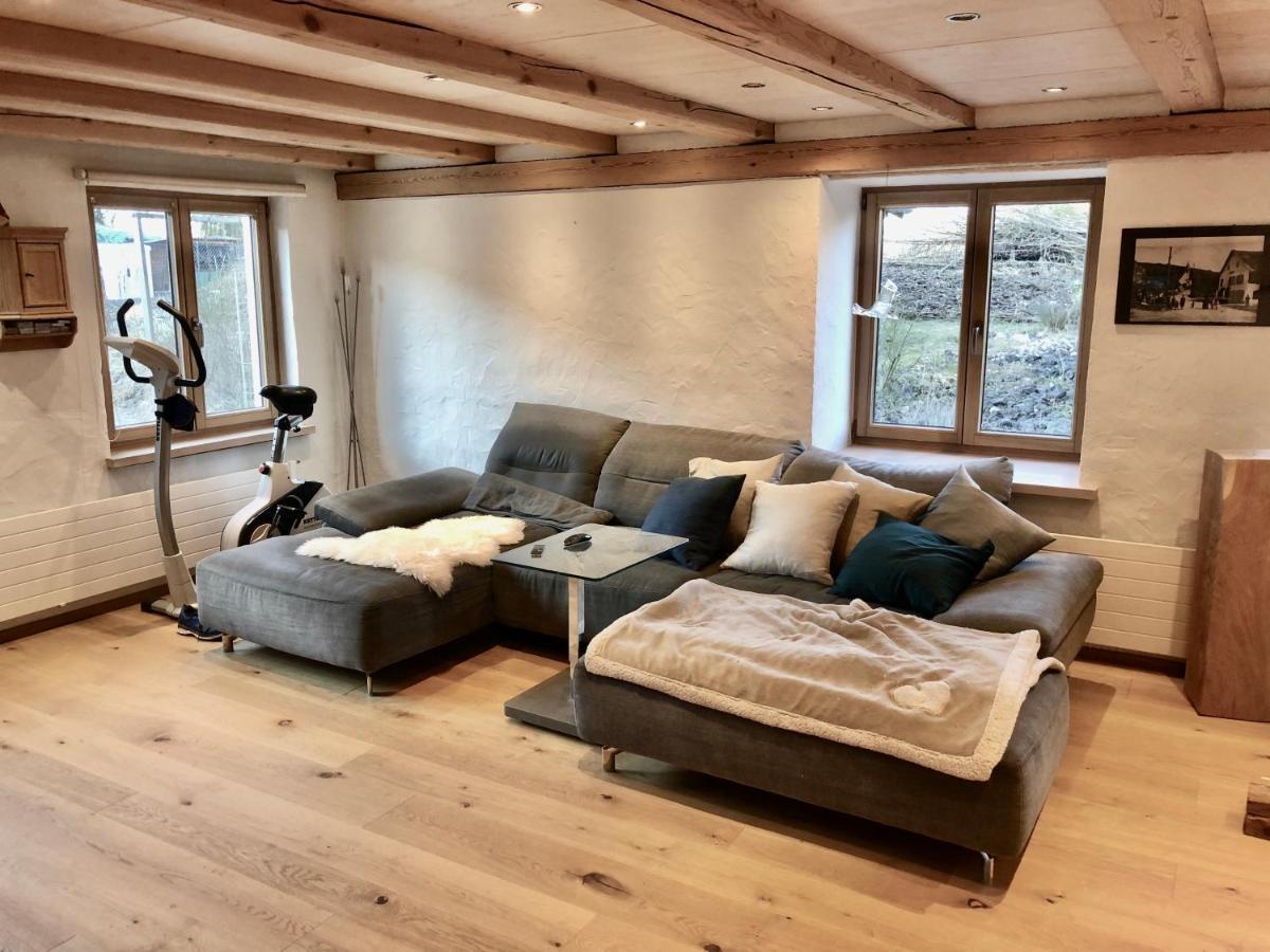 Ferienhaus Mit Naturgarten Dachsen Buitenkant foto