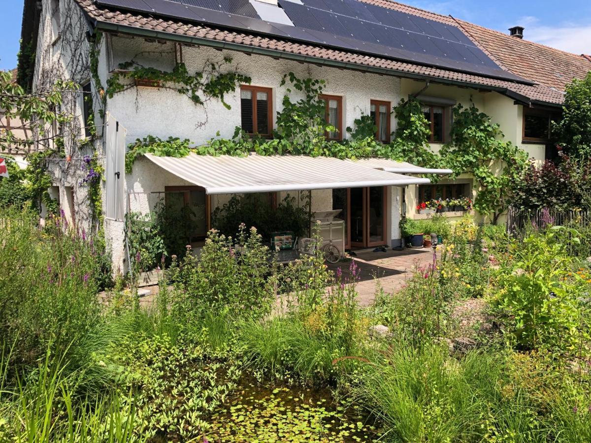 Ferienhaus Mit Naturgarten Dachsen Buitenkant foto